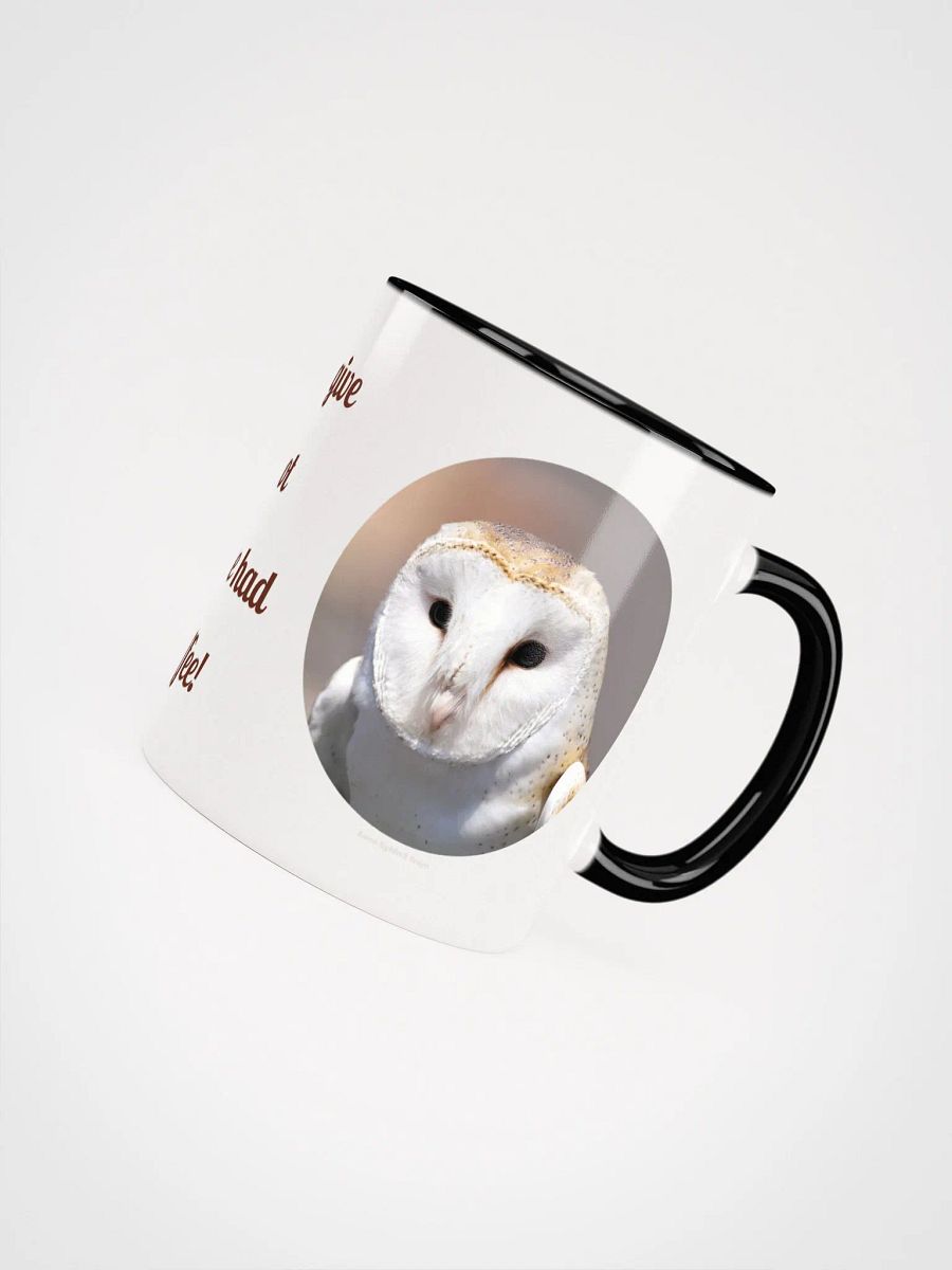 Barn Owl Wildlife Photography Mug product image (4)