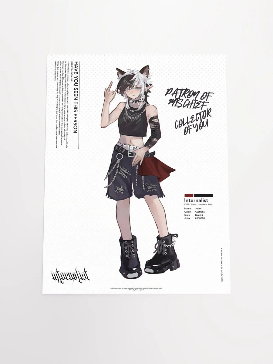 HAVE YOU SEEN THIS PERSON Poster product image (4)