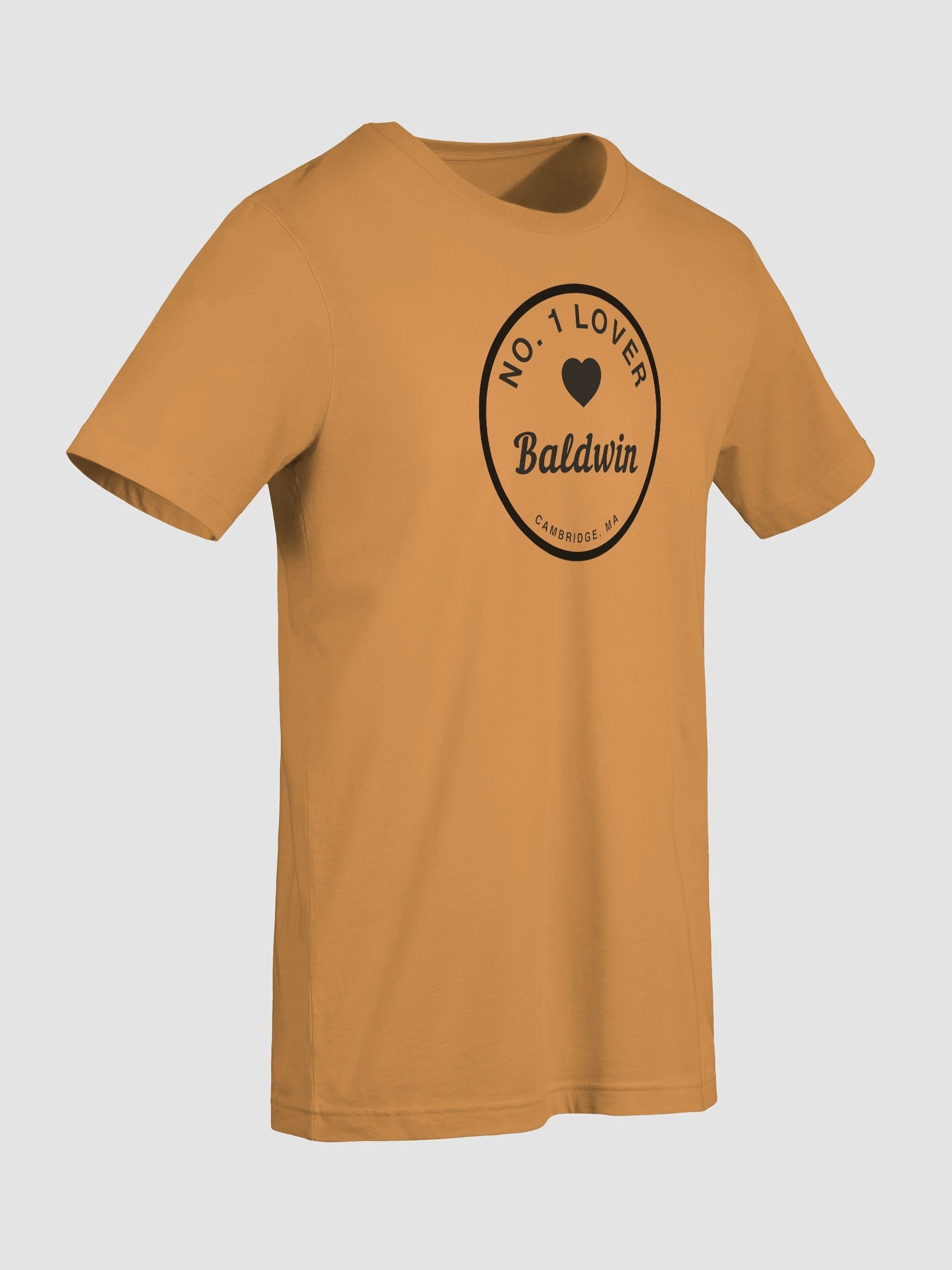 Baldwin, Cambridge, MA Supporter T-Shirt - Unisex Sizes Bella+Canvas product image (33)