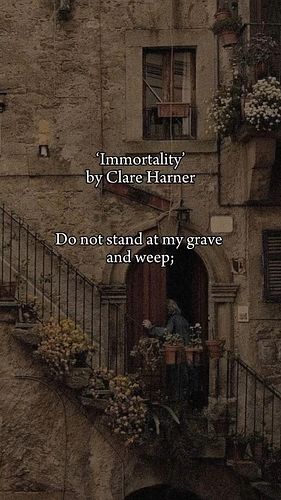 -- immortality 

#poet #poetry #poem #poemoftheday #poemsofinstagram #poemsporn #healing #trauma #traumahealing #childhood #c...