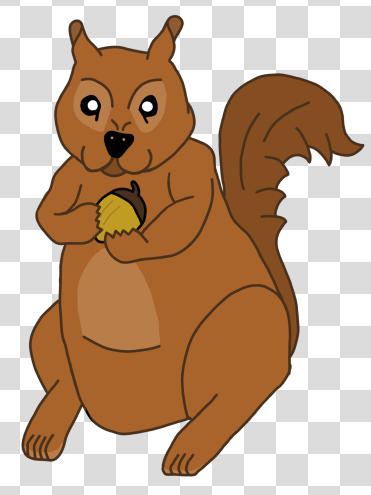 Squirrel