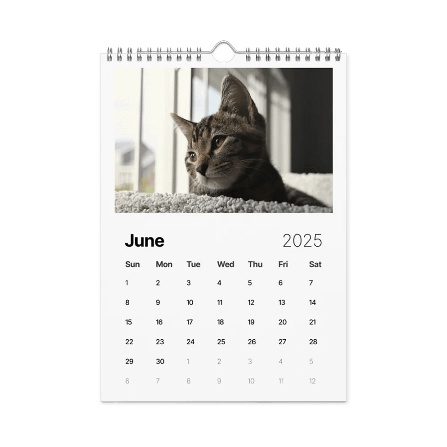 Noah and Friends 2025 Calendar product image (8)