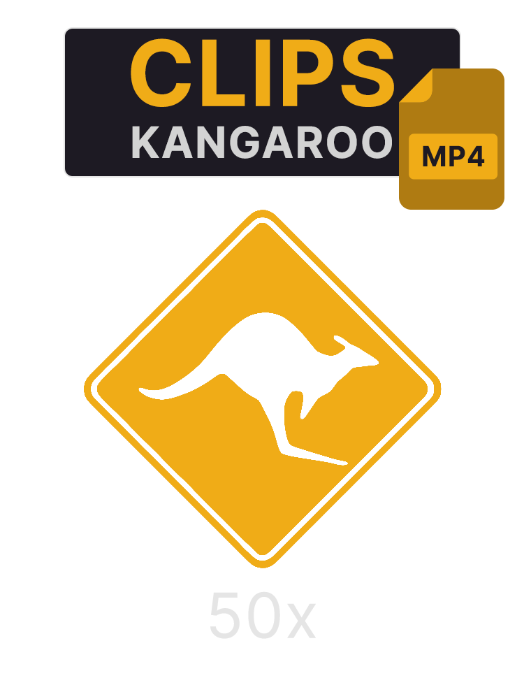 Clips: Kangaroo (50x) product image (1)