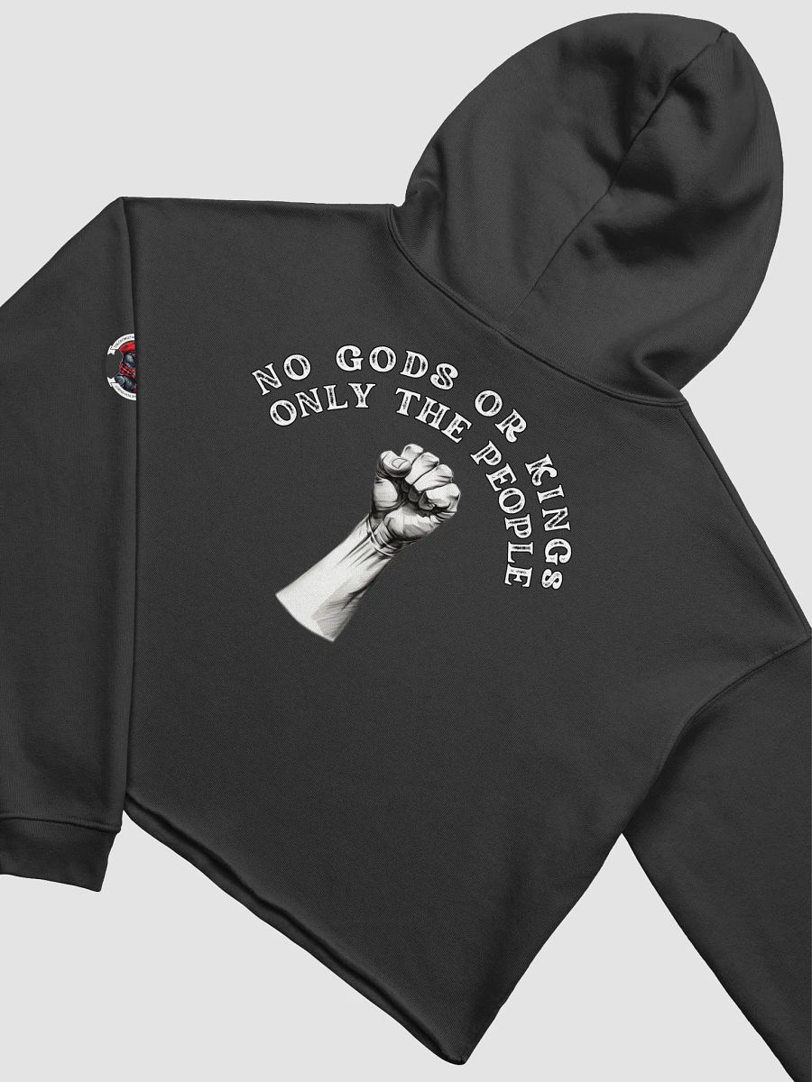LIMITED - JUNE 2025 - FLAG DAY - NO KINGS - Crop Top Hoodie product image (4)