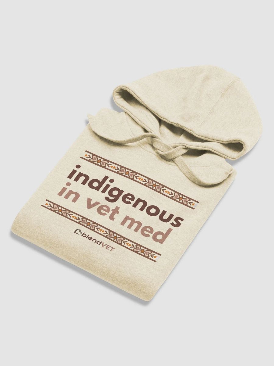 Indigenous in Vet Med Hoodie product image (6)