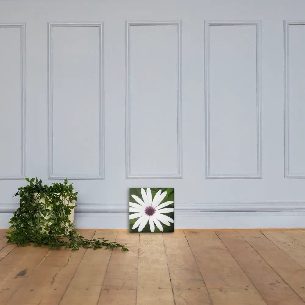 Daisy on Canvas product image (4)