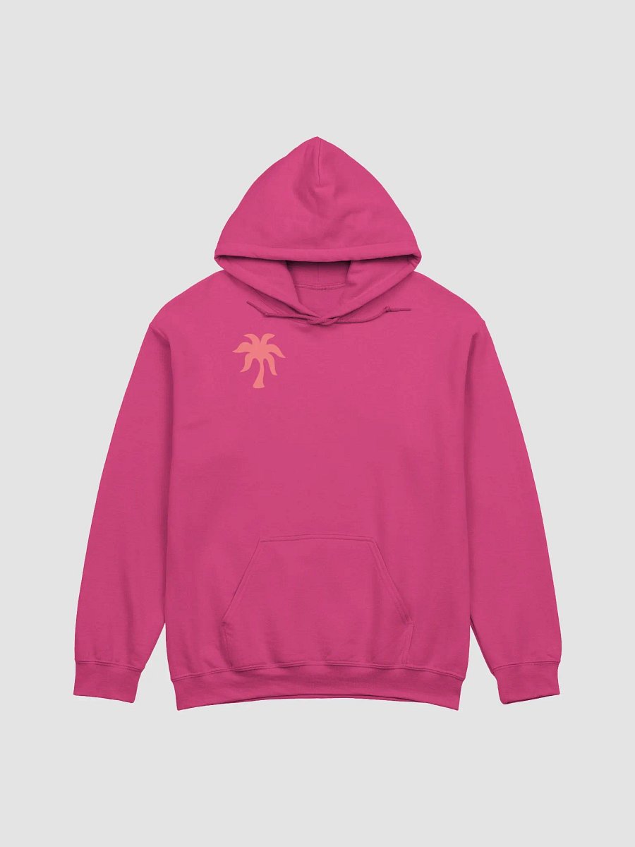 ppp hoodie product image (2)