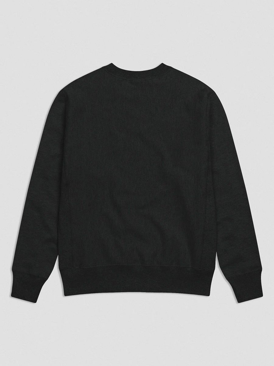 Whalley Logo Champion Sweater product image (3)