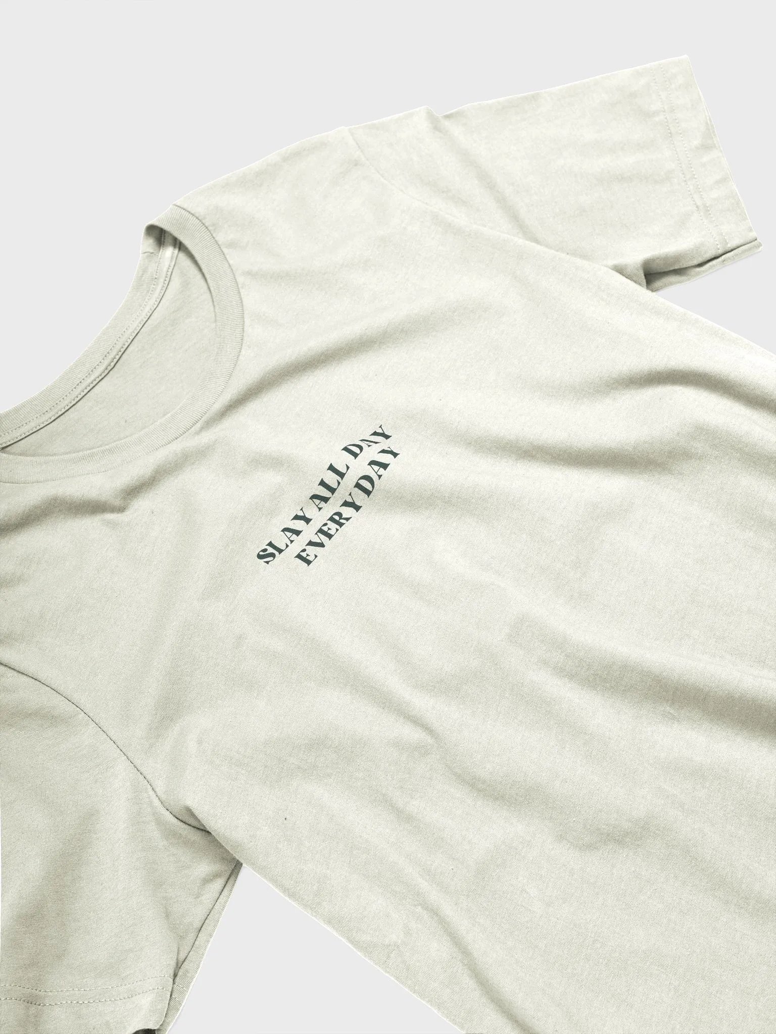 Slay All Day Everyday Supersoft T-Shirt product image (6)
