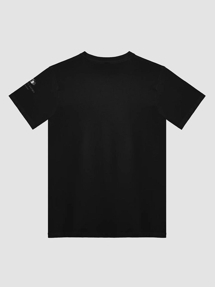 Golden Gate Park Raccoons T-Shirt Black product image (2)