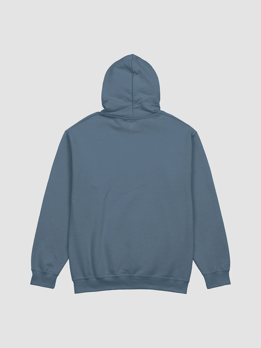 Haven Texas Hoodie product image (8)