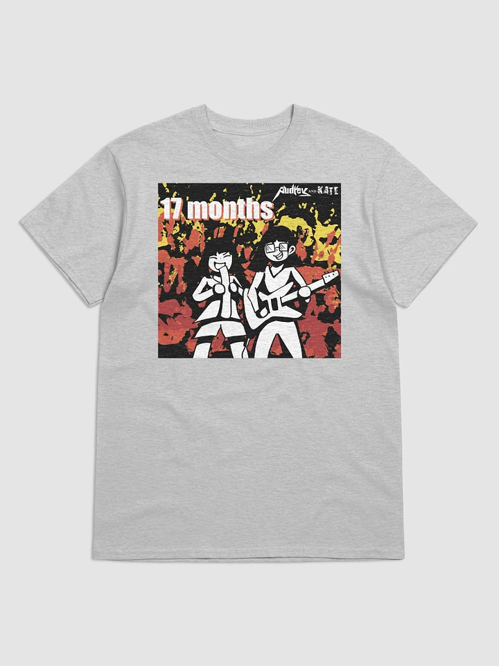 17 Months No. 1 Album Art T-shirt product image (2)