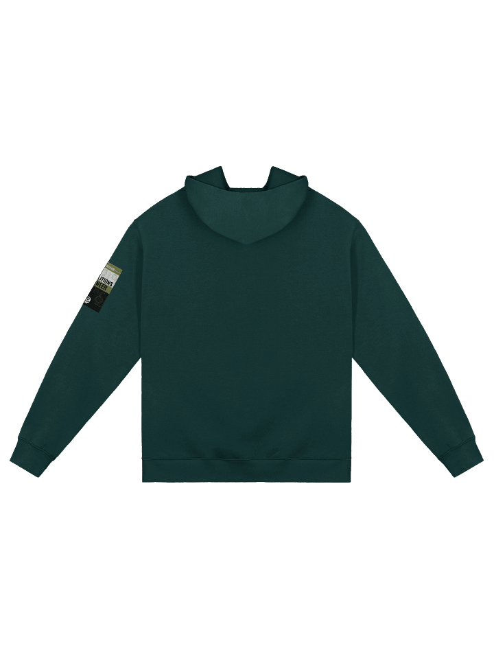 Retro Raccoon Radiation Hoodie product image (7)