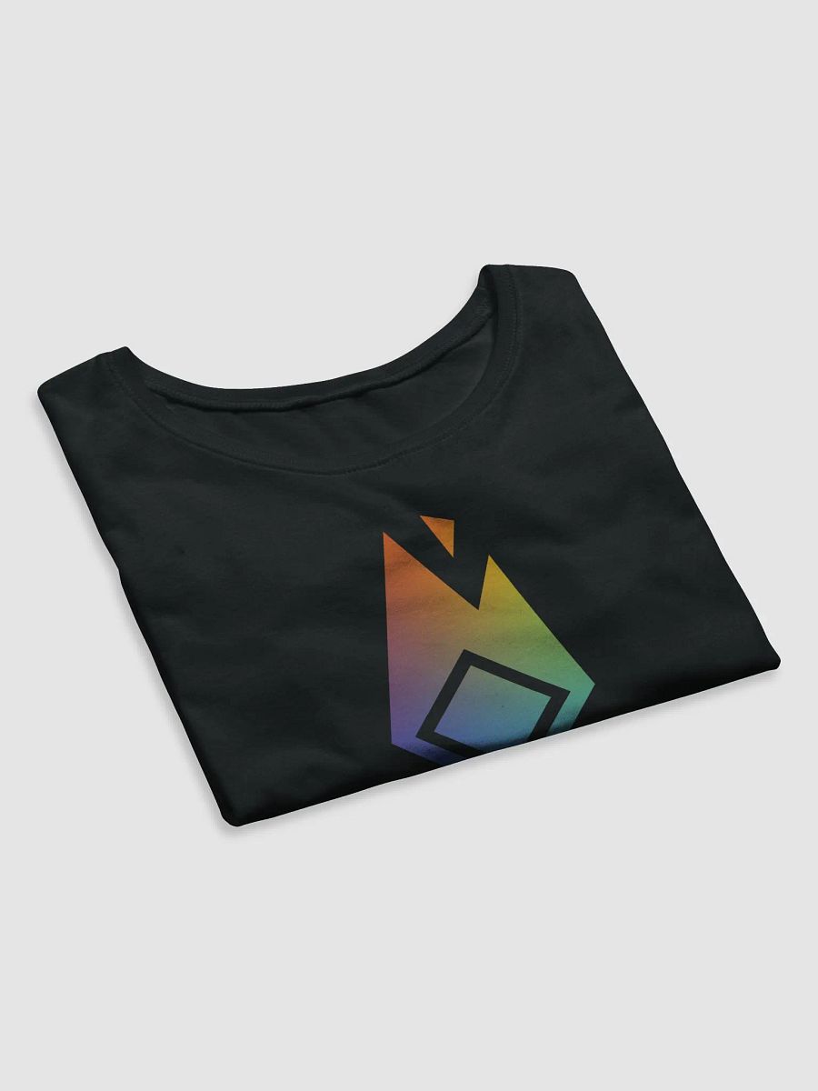 Pride Flame Crop Top product image (4)