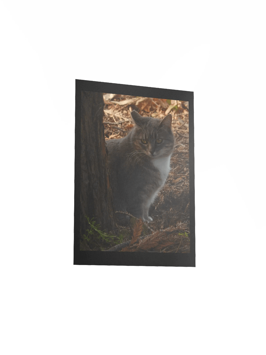 Forest Kitty product image (5)