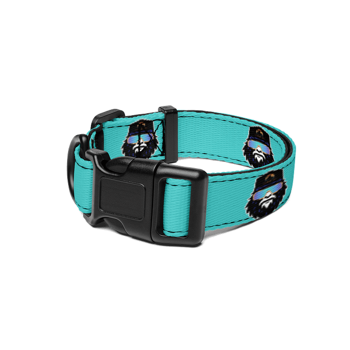 Destination Bigfoot Bronco Monogram Bigfoot Logo Dog Collar (Dark Turquoise) product image (1)