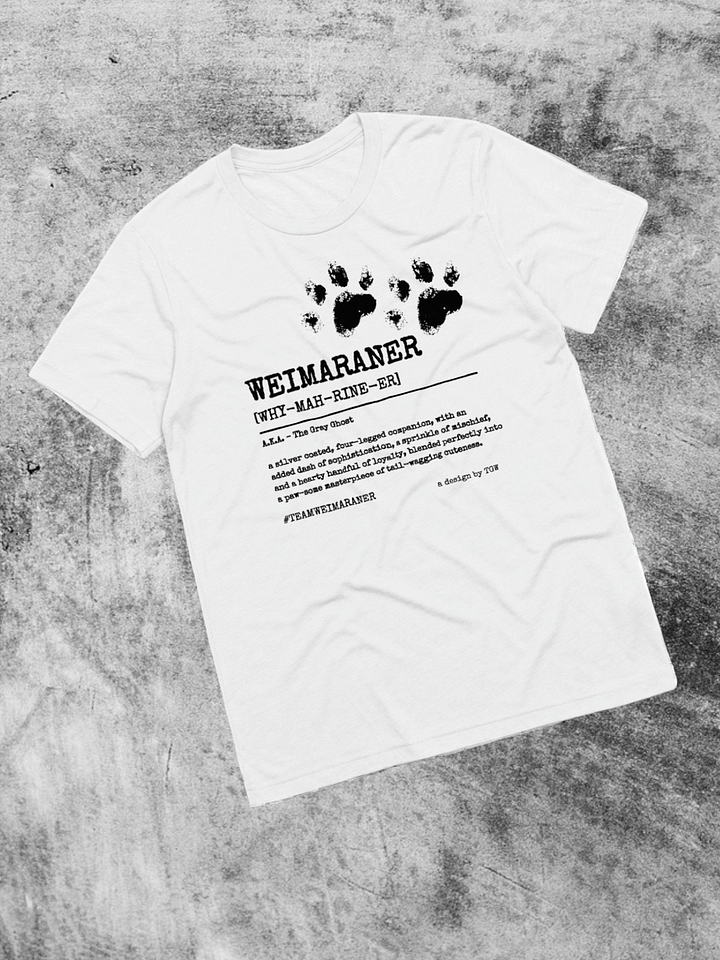 Definition of Weimaraner V2 - Bella+Canvas Triblend Short Sleeve T-Shirt product image (1)