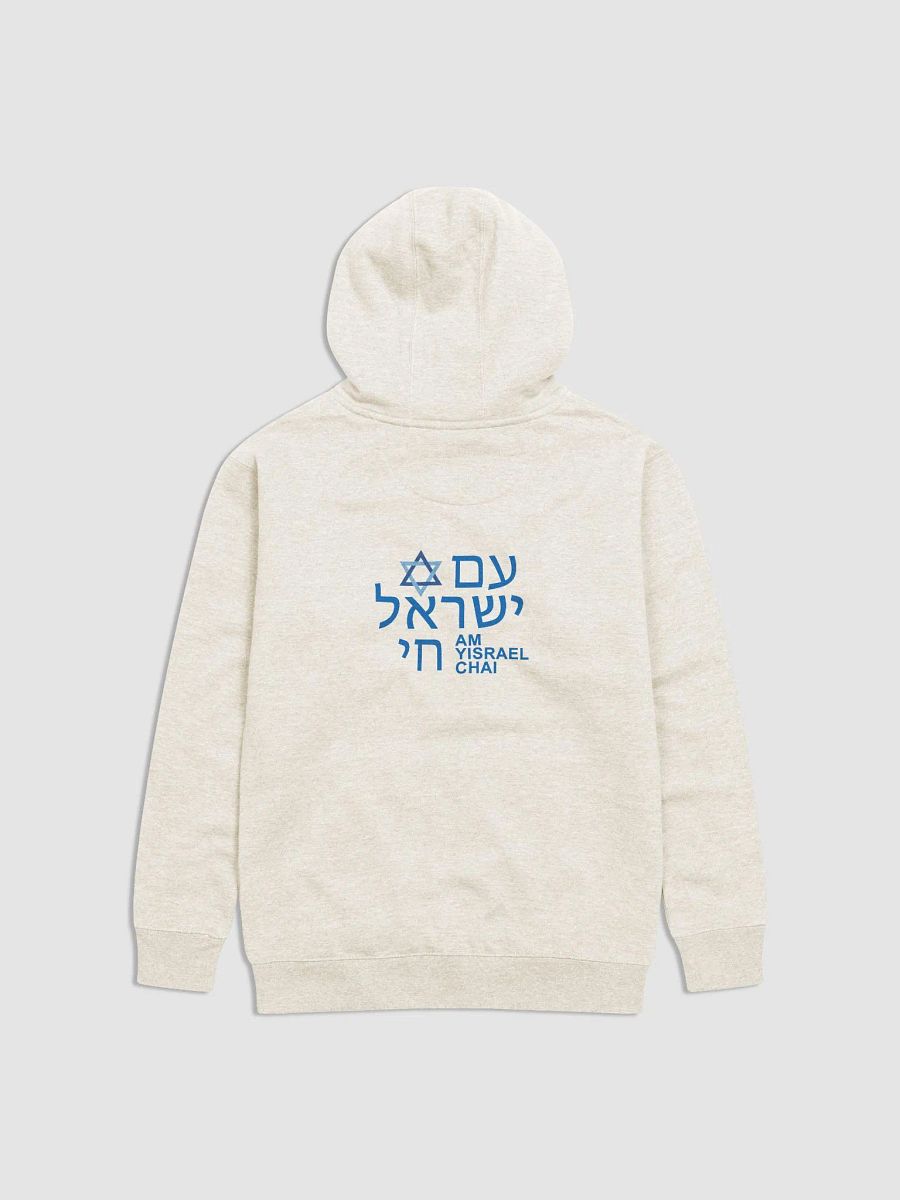 AM YISRAEL CHAI Premium Hoodie product image (3)