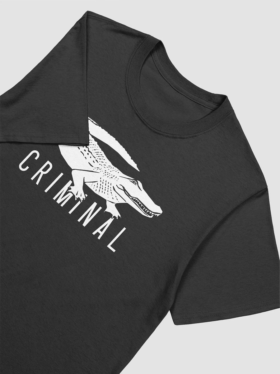 Criminal 10th Anniversary Tour T-shirt product image (3)