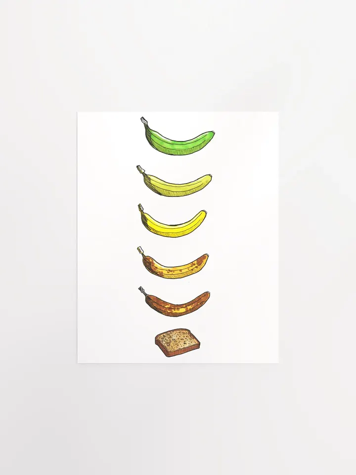Life Cycle Of A Banana product image (2)