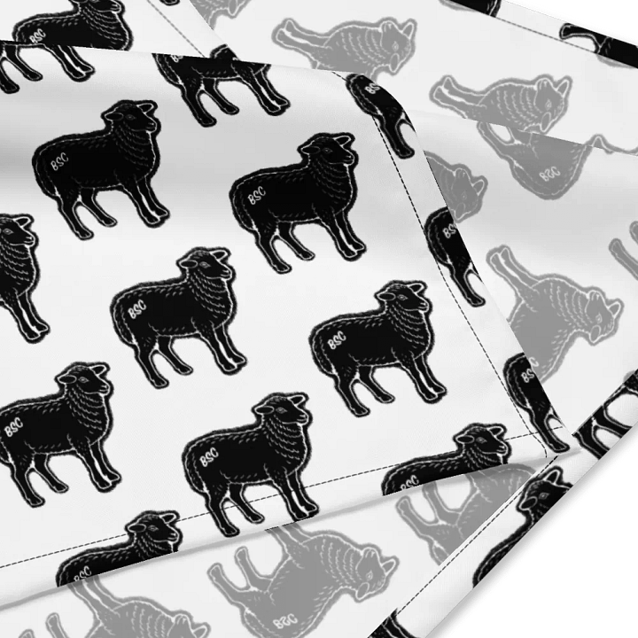 BS Bandana product image (2)