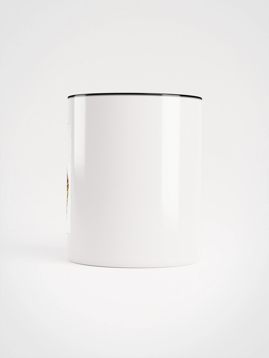 JIMI HENDRIX IS THE BEST product image (9)