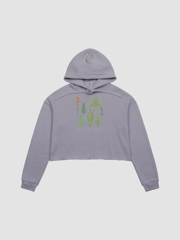 It's Fern Time Babyyyy Crop Hoodie product image (1)