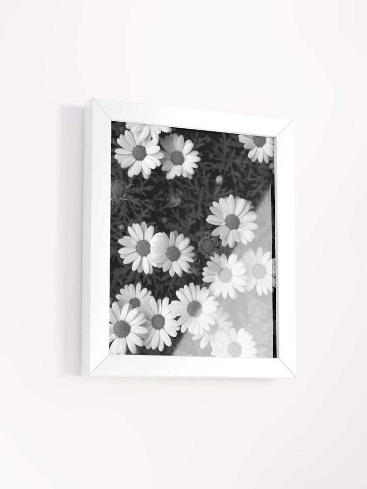 Daisy Flowers - Framed High-Quality Matte Poster product image (2)