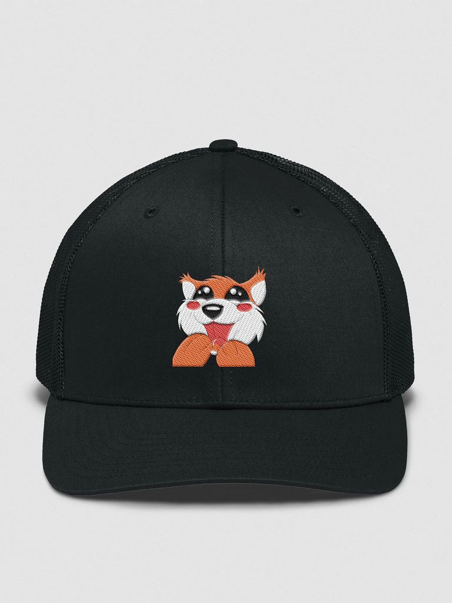 FidgPLS Hat product image (2)