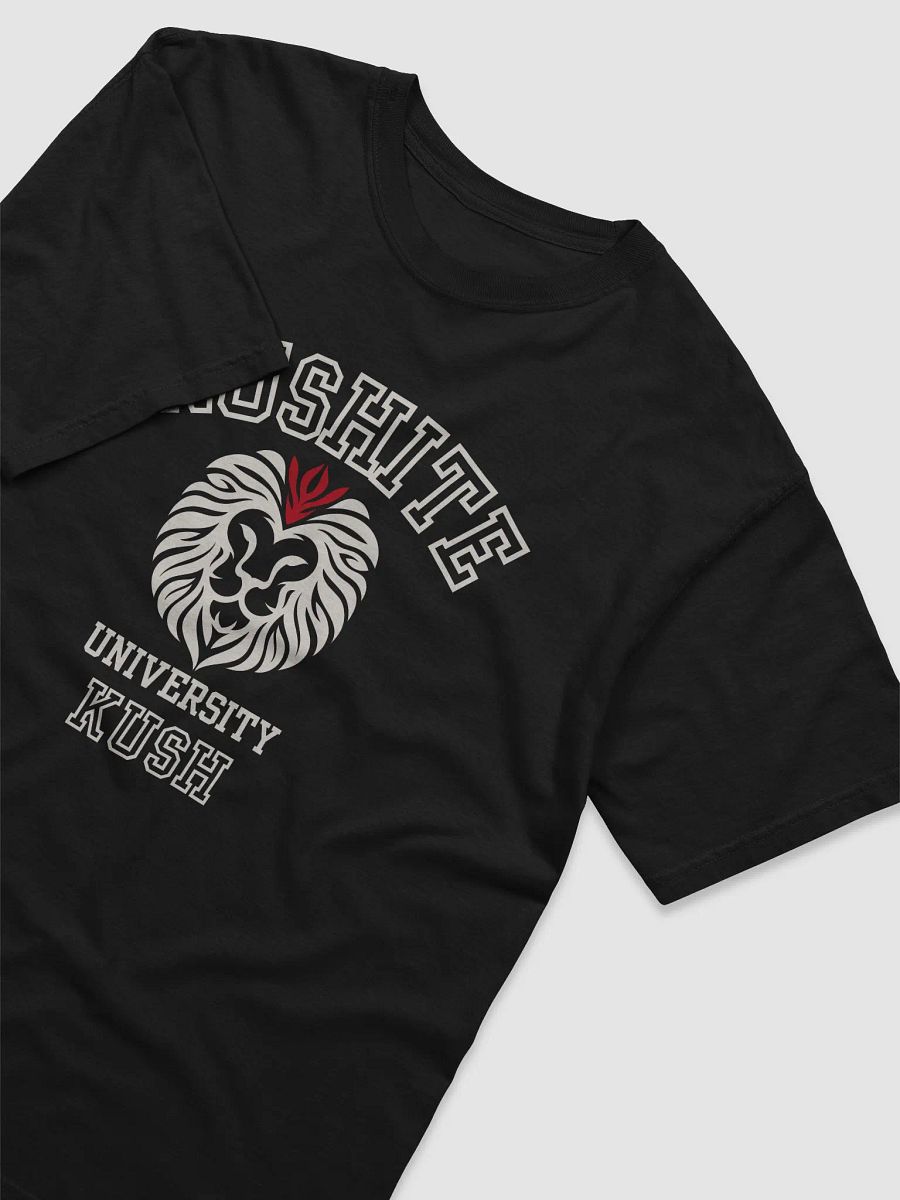 Kushite University product image (3)