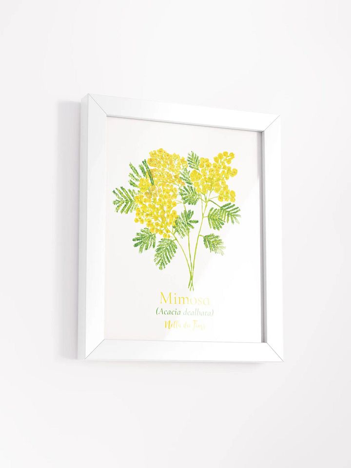 Mimosa Botanicus Frame product image (6)