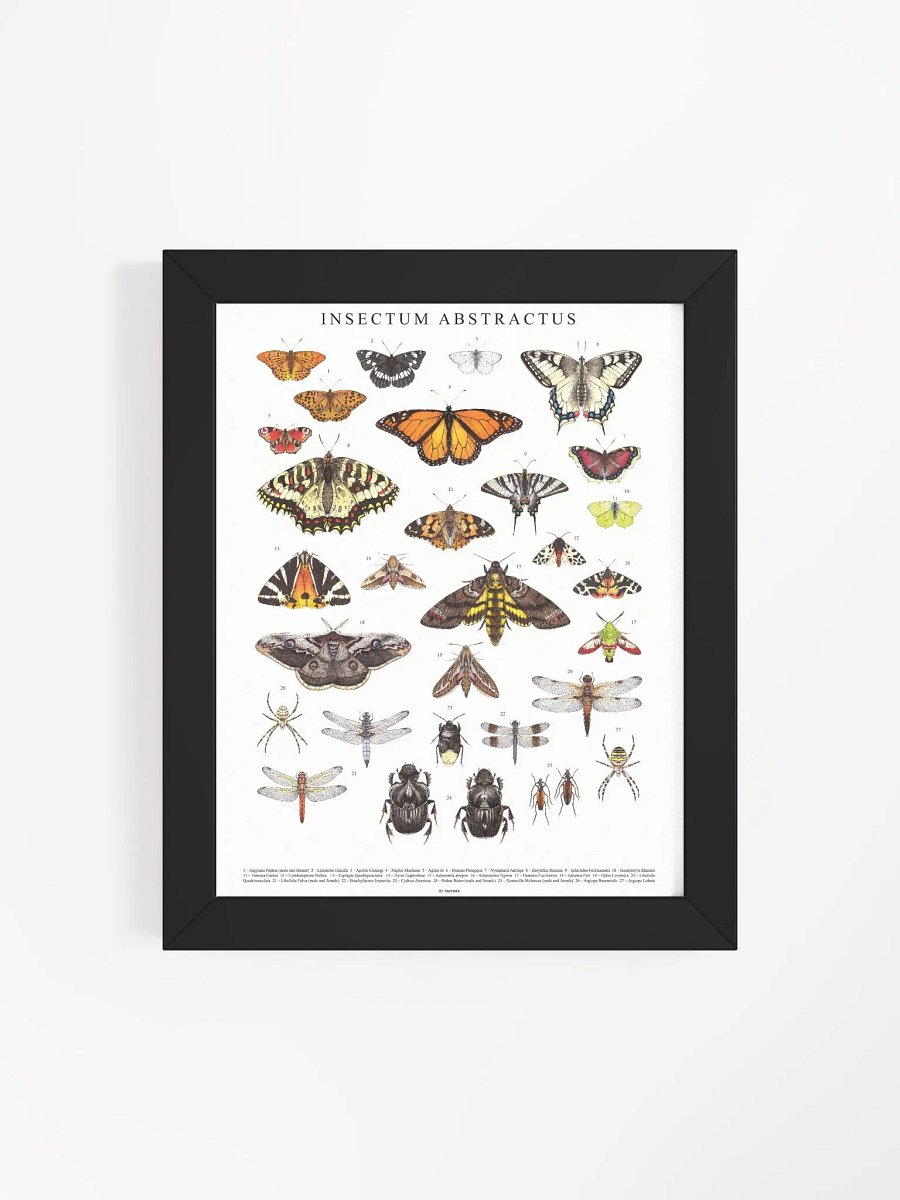 INSECTUM ABSTRACTUS - Framed Print product image (43)