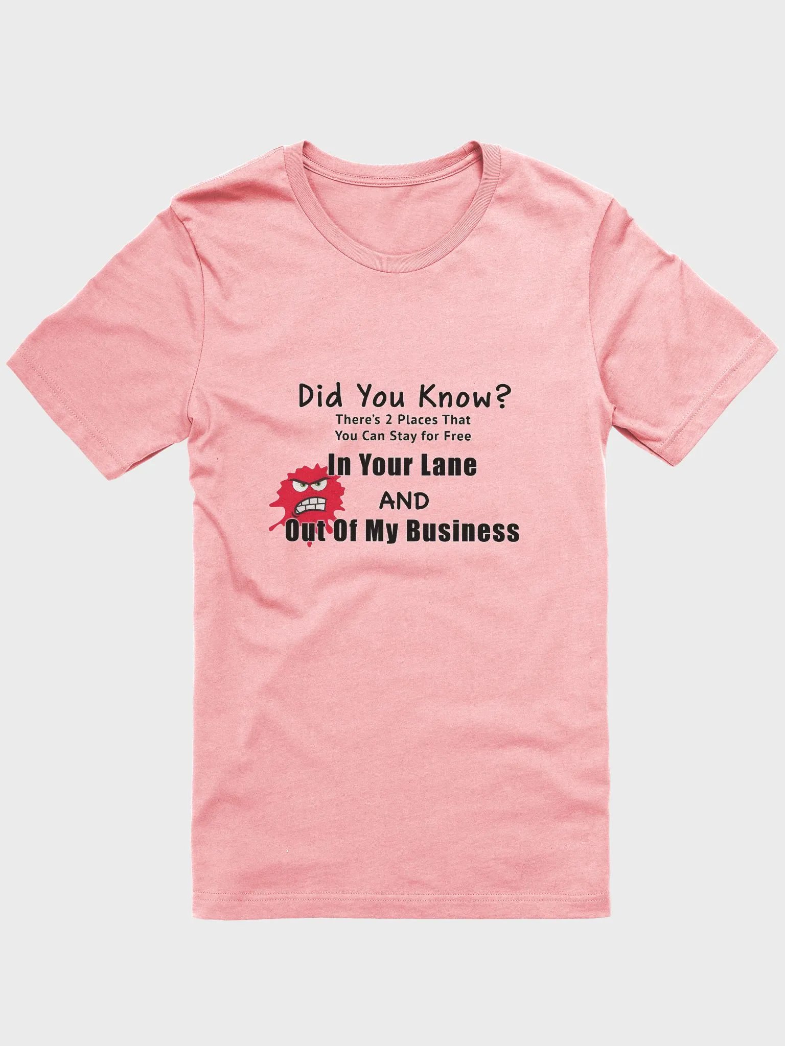 Did You Know T-shirt product image (1)