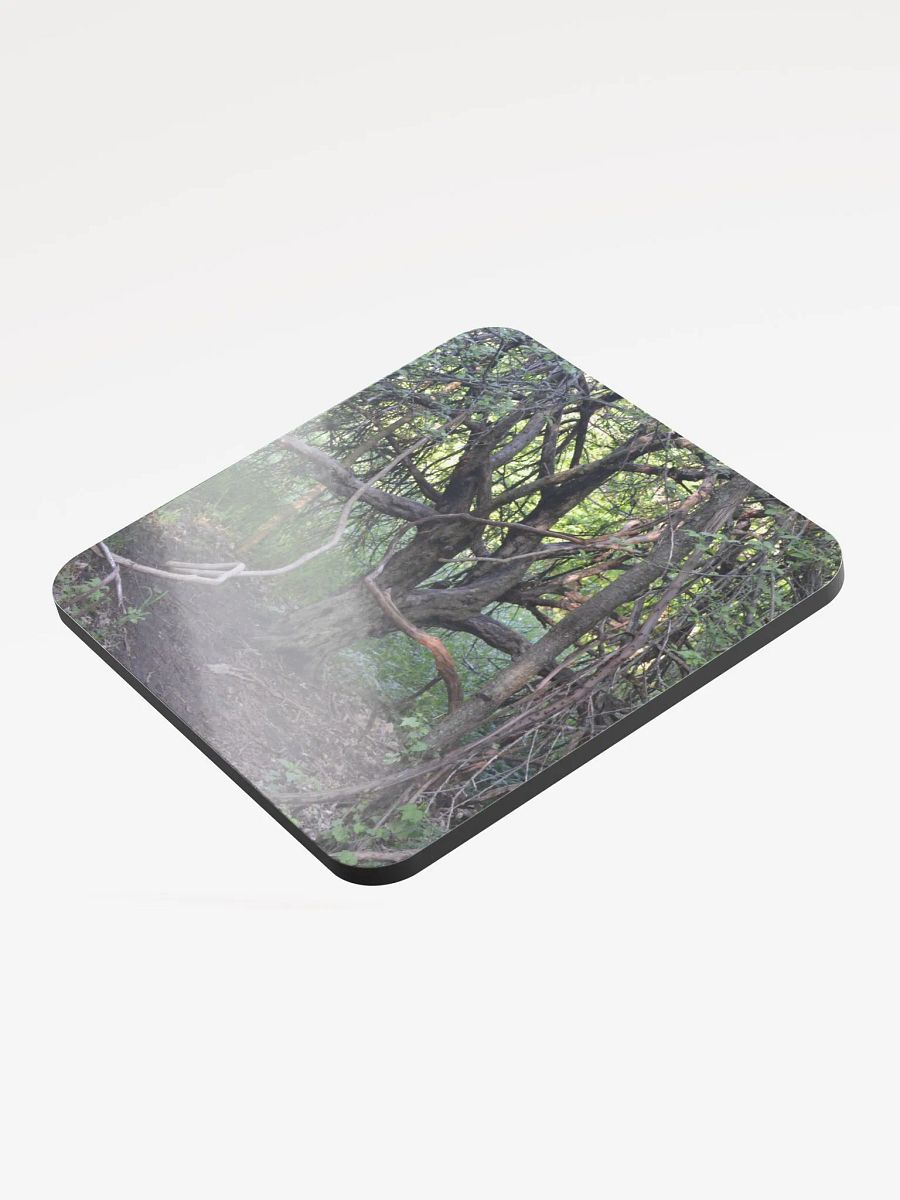 Branch Tree Cork Coaster product image (3)