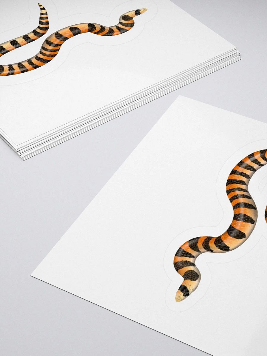 Die-Cut Sticker – Banded Sandsnake product image (4)