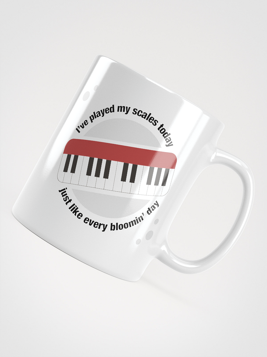 I’ve Played My Scales Today product image (12)