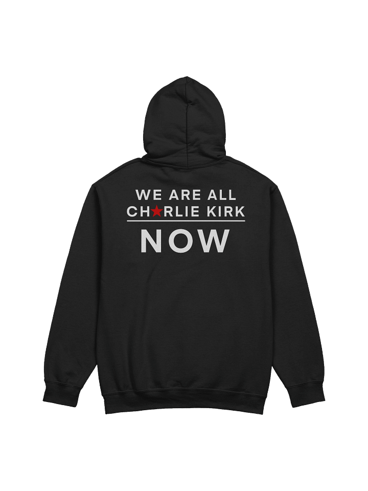 Charlie Kirk Freedom - We Are All Charlie Hoodie product image (4)
