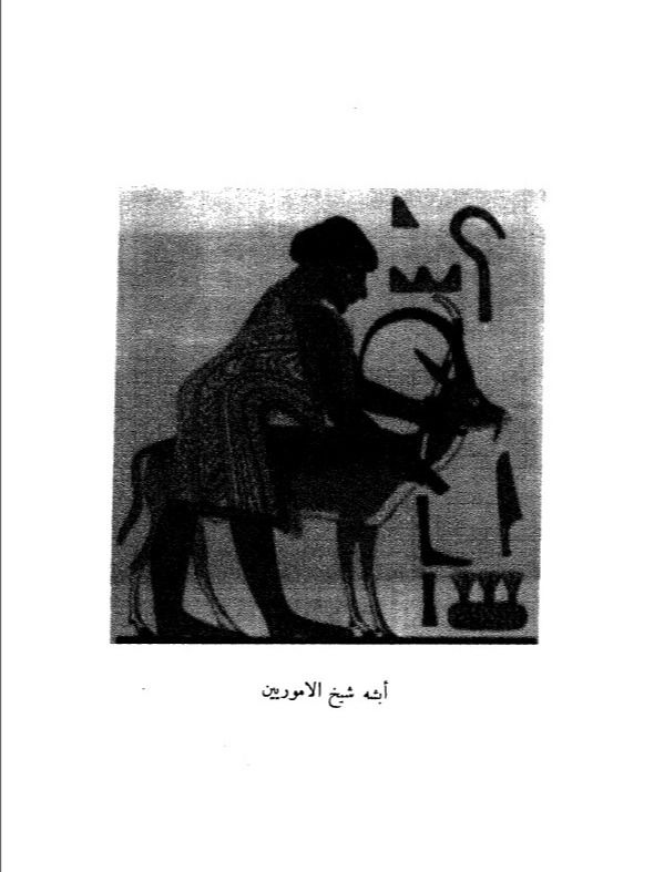 تاريخ سوريا ولبنان وفلسطين - فيليب حتي product image (8)