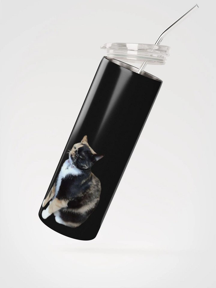Lyra Judgment Stainless Steel Tumbler product image (2)