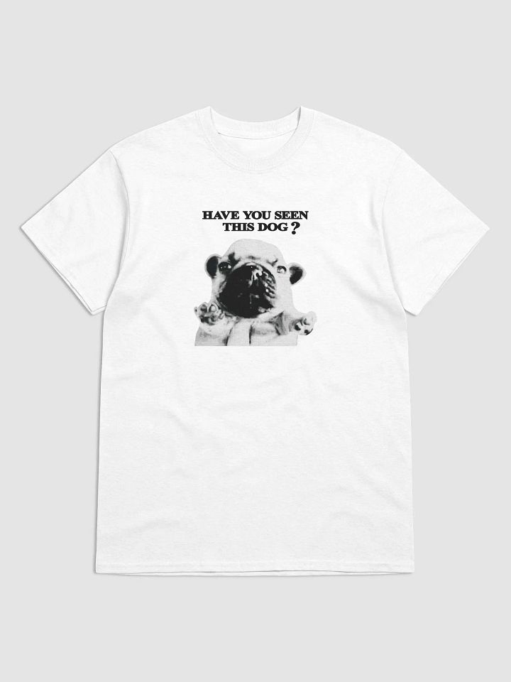 HAVE YOU SEEN PIBBLE? product image (1)