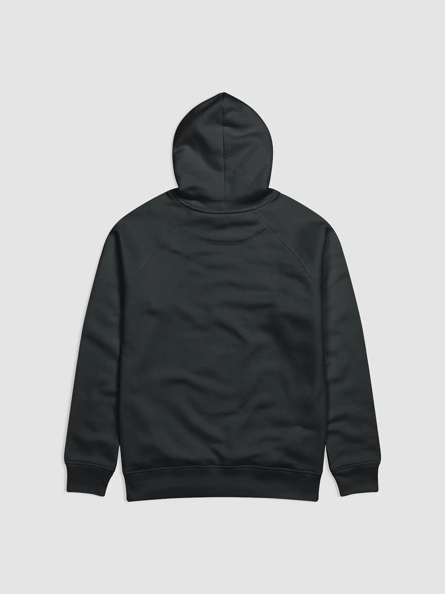 'Limited Edition 2024 Classic' Unisex Hoodie product image (2)