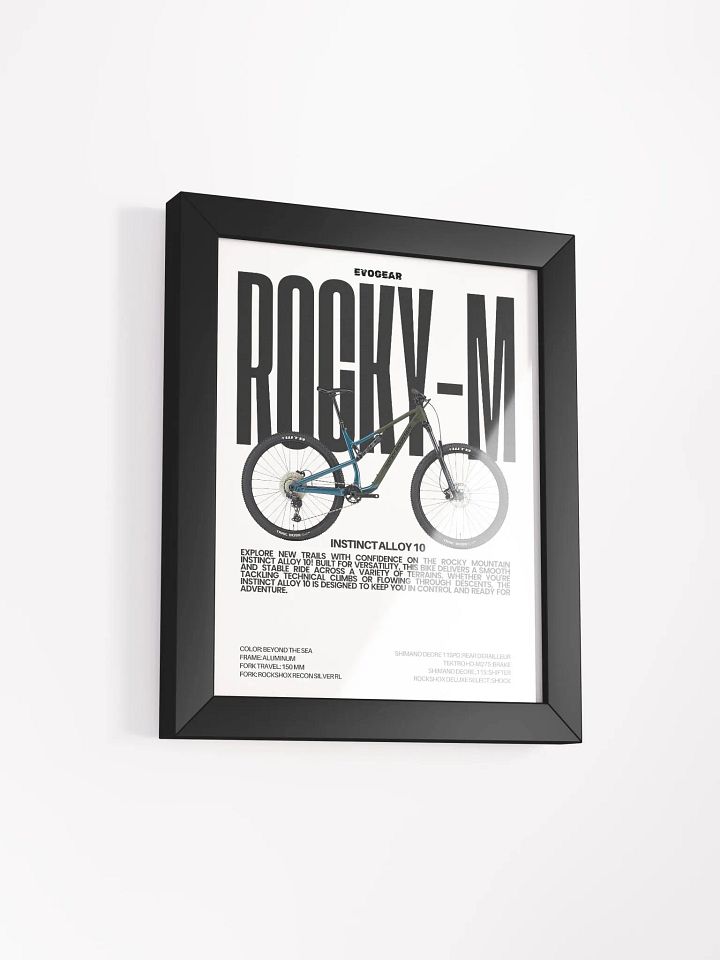 Rocky Mountain Instinct A10 Frame product image (9)