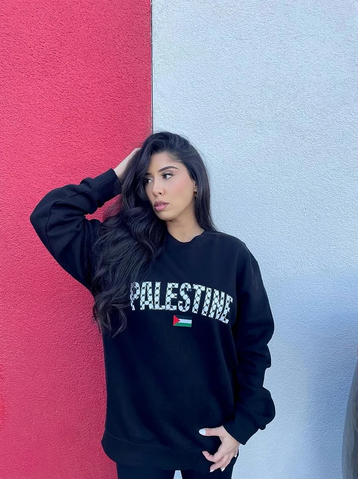 Palestine Sweater-Printed product image (2)