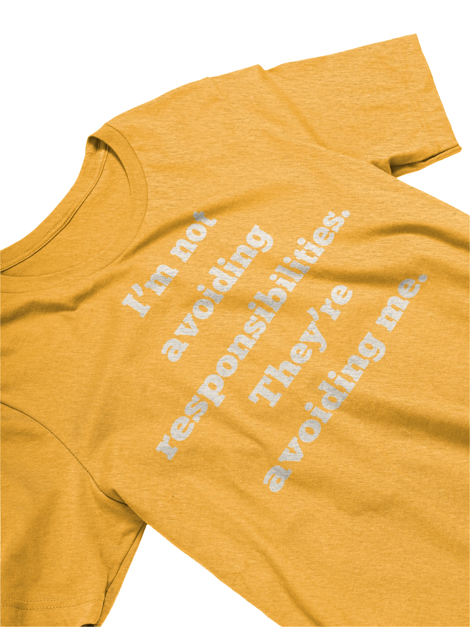 I'm Not Avoiding Responsibilities Funny T-Shirt | Sarcastic Quote Tee | Bella Canvas 3001 | Gift for Him Her product image (3)