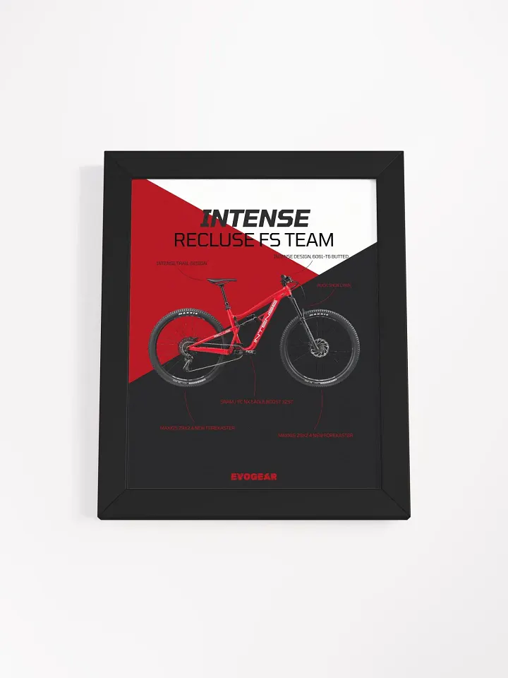 Intense Recluse FS Team Frame product image (4)