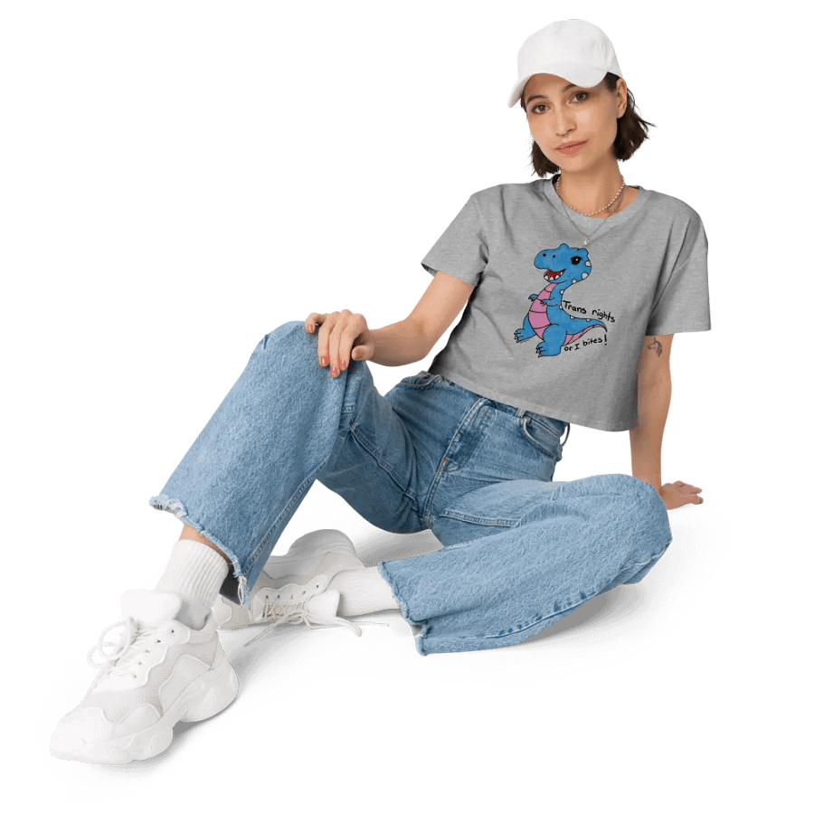 Trans Rights! product image (26)