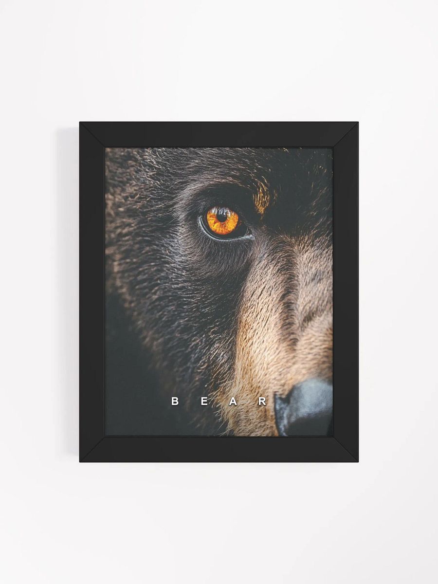 Bear's Eye Matte Poster product image (35)