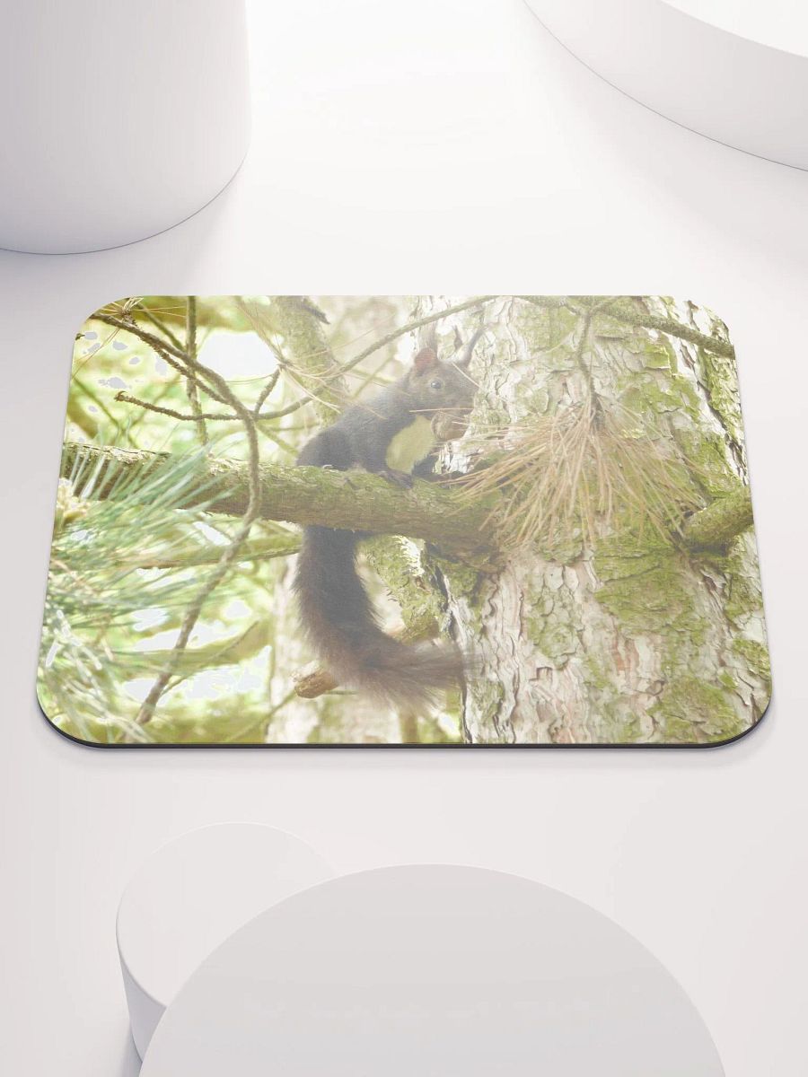 Classic Mouse Pad - The Eurasian red squirrel product image (1)