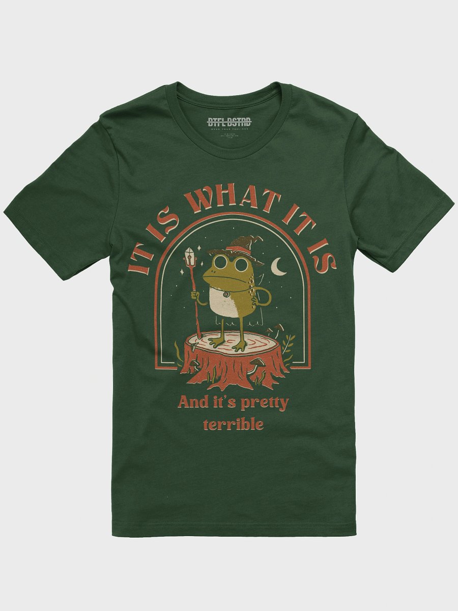 It Is What It Is - Summer Tee product image (3)