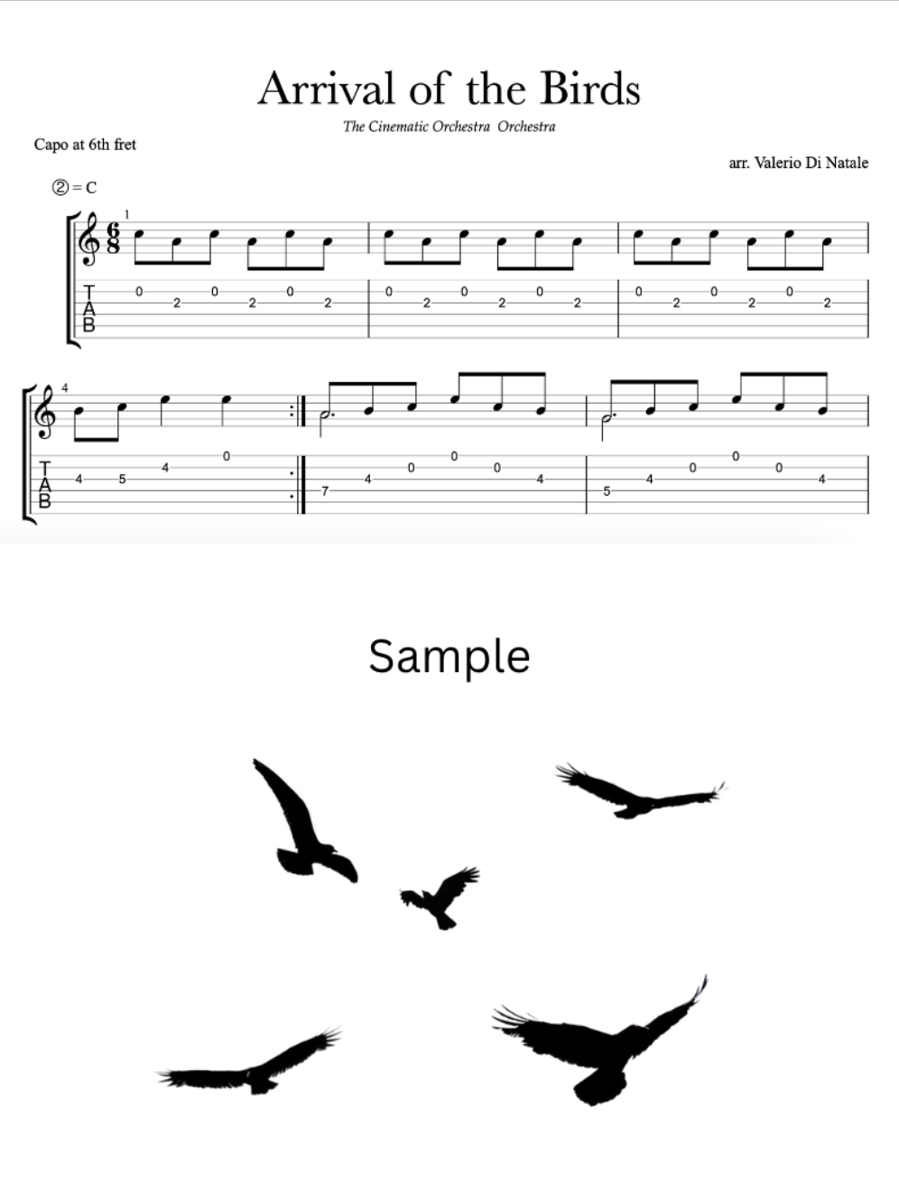 Arrival of the birds - Guitar score product image (2)
